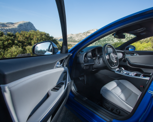 Kia Stinger blue details  (9)